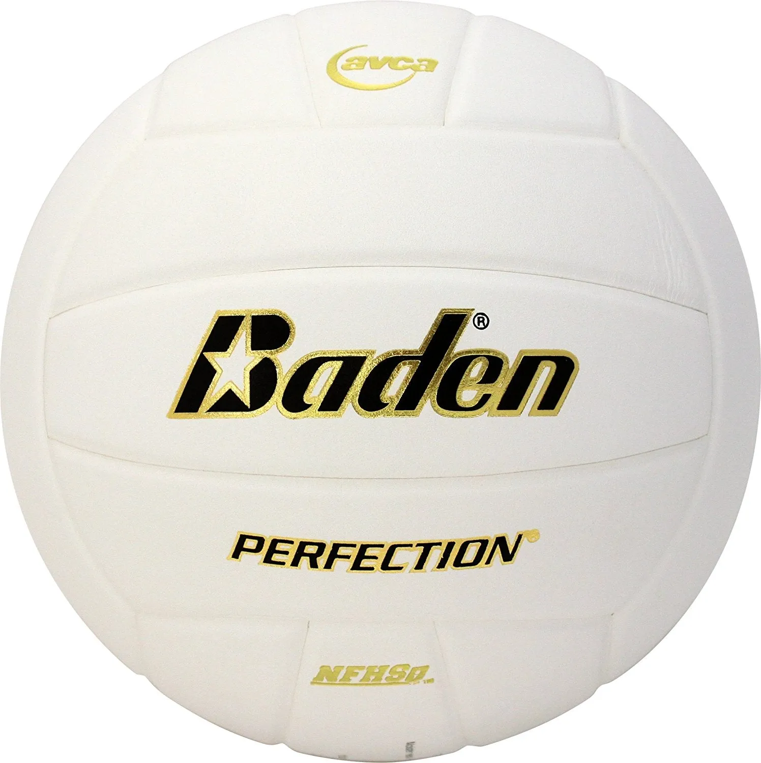 Baden Perfection Leather Volleyball