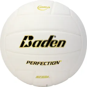 Baden Perfection Leather Volleyball