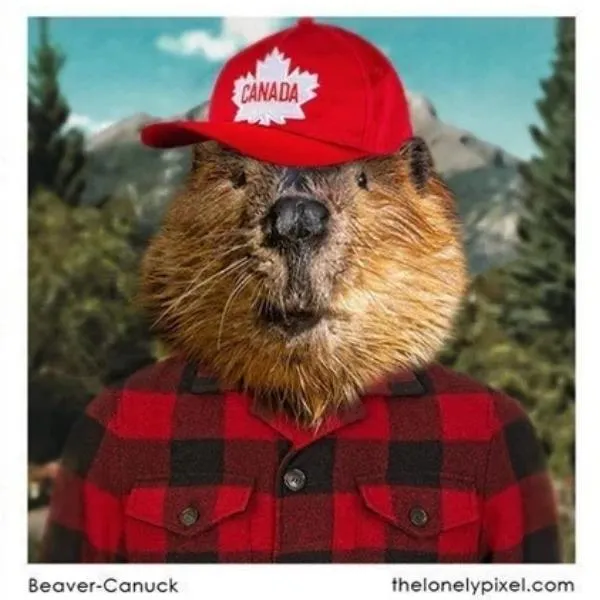 Beaver Canuck Magnet