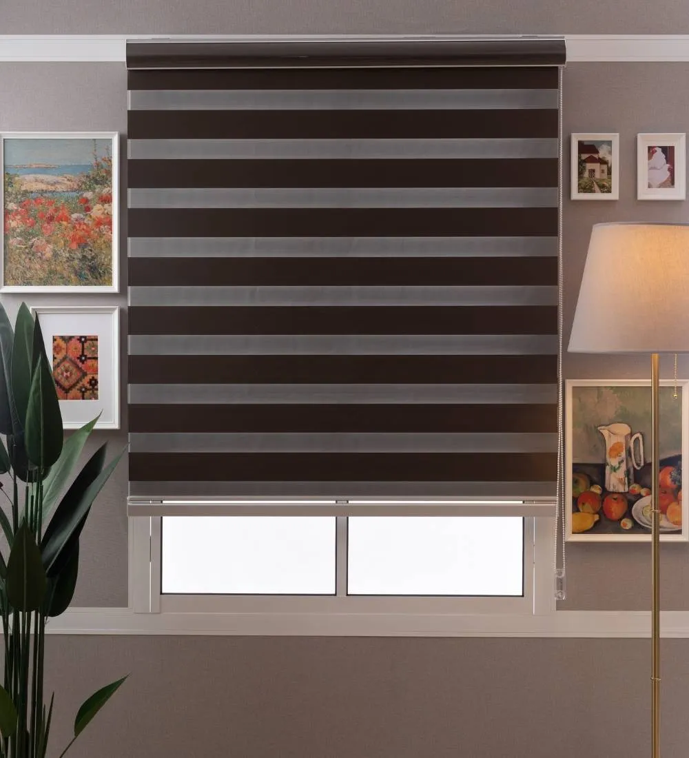 Bira Luxury Designer Blackout Zebra Blinds