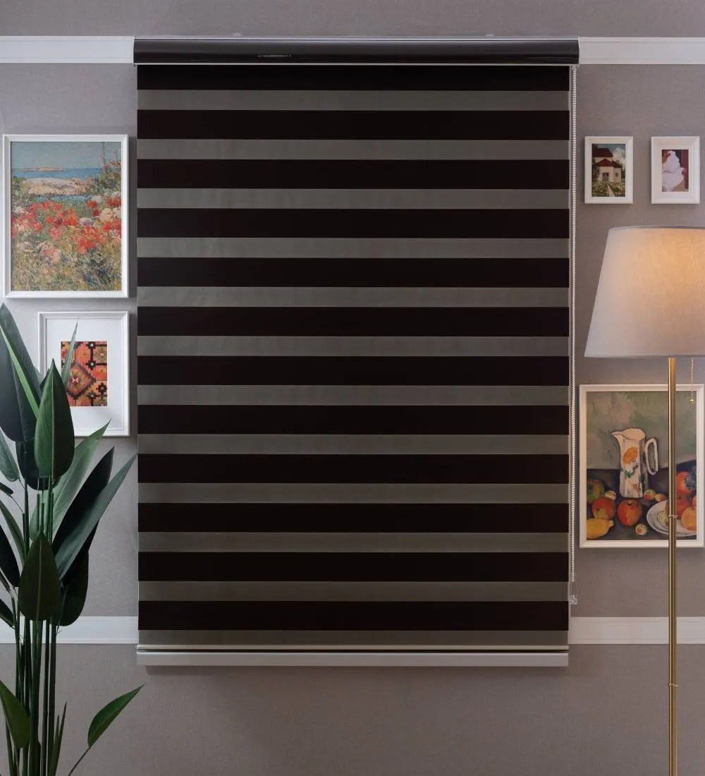 Bira Luxury Designer Blackout Zebra Blinds