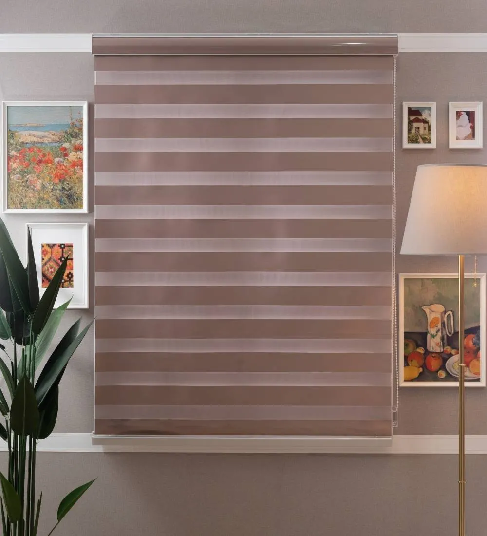 Bira Luxury Designer Blackout Zebra Blinds