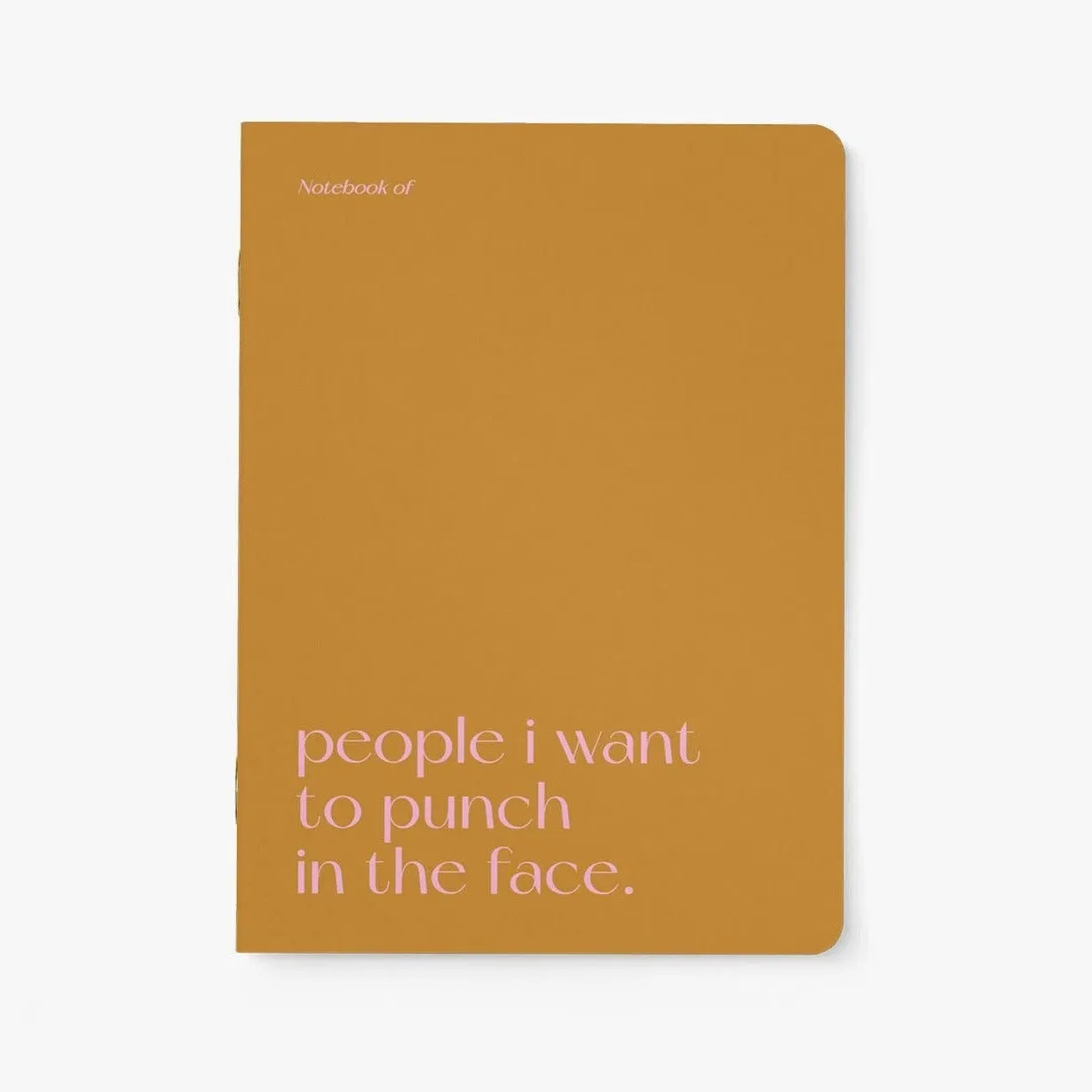 Punch In The Face Notebook