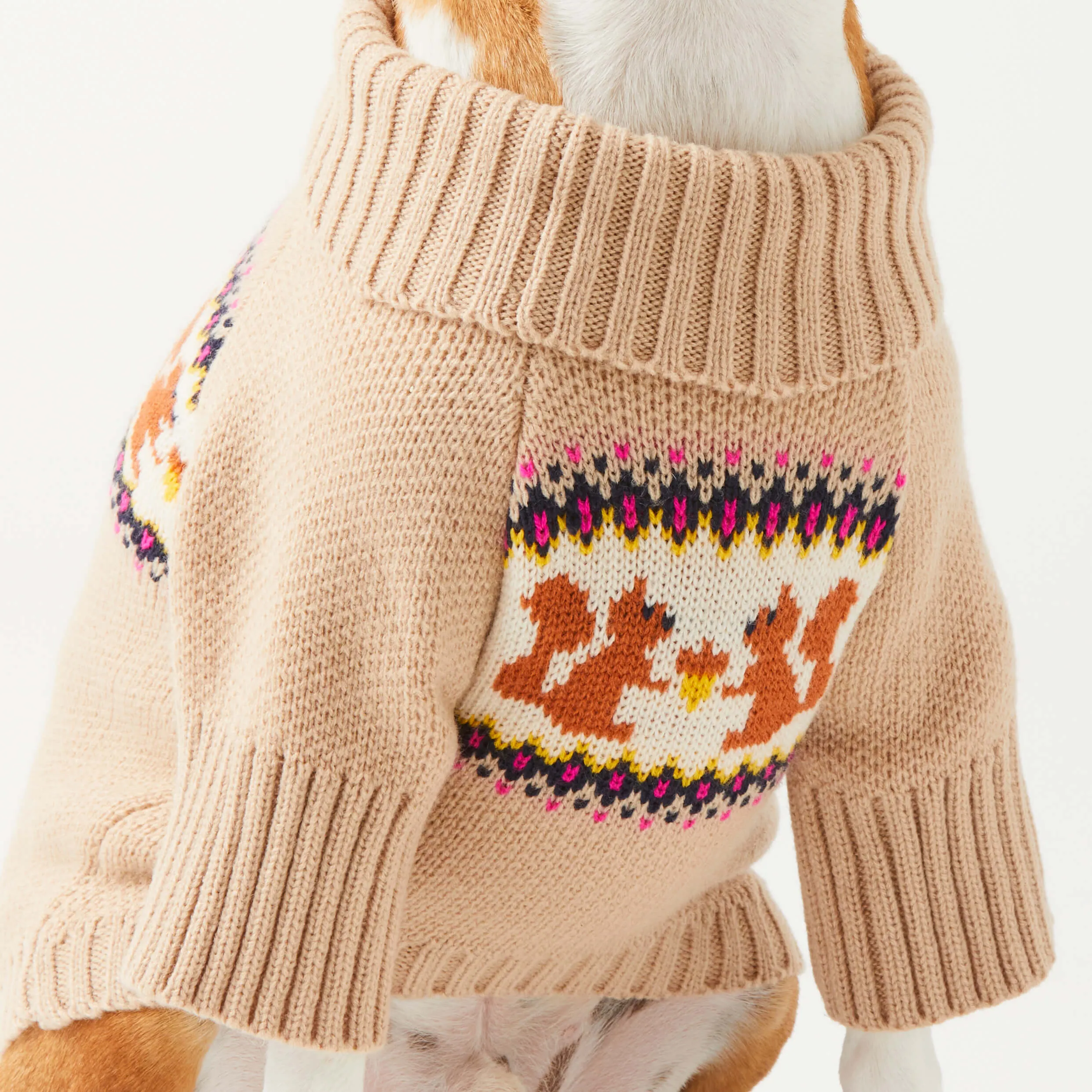 Squirrel Dog Sweater