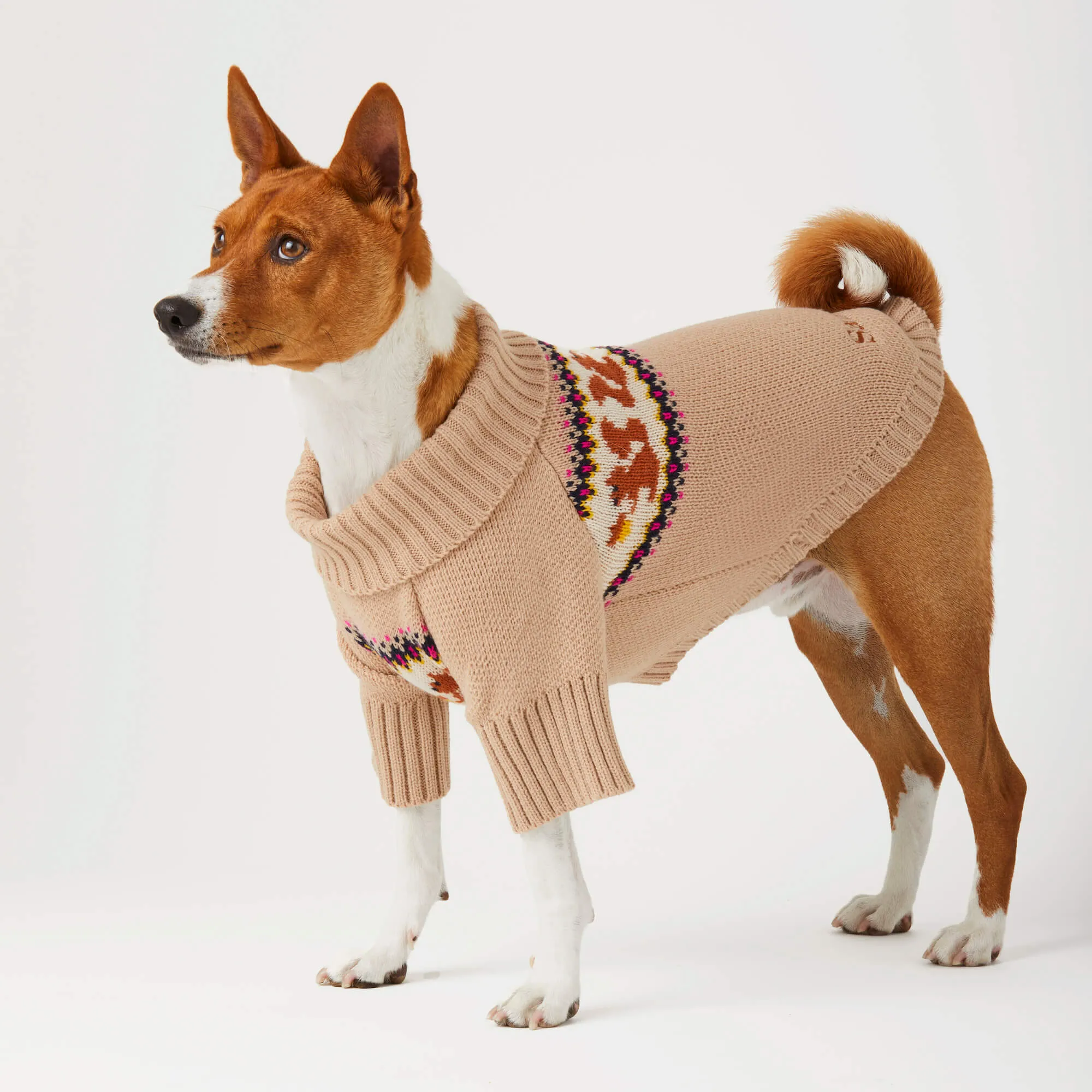 Squirrel Dog Sweater